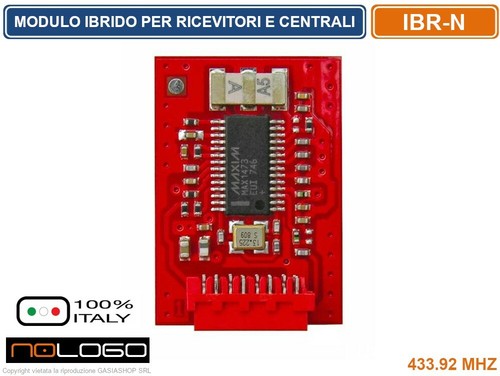 Ibr ibrido innesto 433 - ibrido,